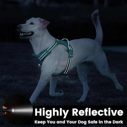 No Pull Dog Harness, Reflective Puppy Vest for Small Medium Large Sized Dog(MARRS Green,S)