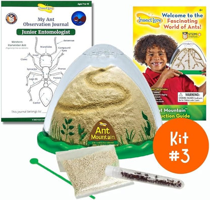 Insect Lore Bug Camp Bundle | Butterfly Kit with 1 Cup Live Caterpillars | Ladybug Land with 1 Tube Live Larvae | Ant Mountain with 1 Tube Live Western Harvester Ants | Life Cycle Figurines &amp; More