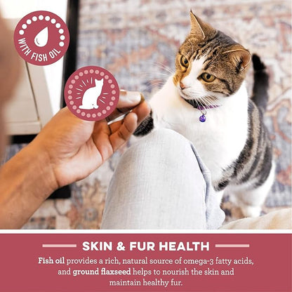 Greenies Feline Smartbites Skin &amp; Fur Crunchy and Soft Natural Cat Treats, Salmon Flavor, 4.6 oz. Pack (Pack of 2)