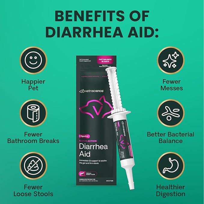 VetriScience Quick Action Diarrhea Aid Paste with Probiotics &amp; B Vitamins, Fast Balance Digestive Support Supplement for Dogs and Cats, Gut Balancer, Help Stop Diarrhea, Unflavored, 35 cc