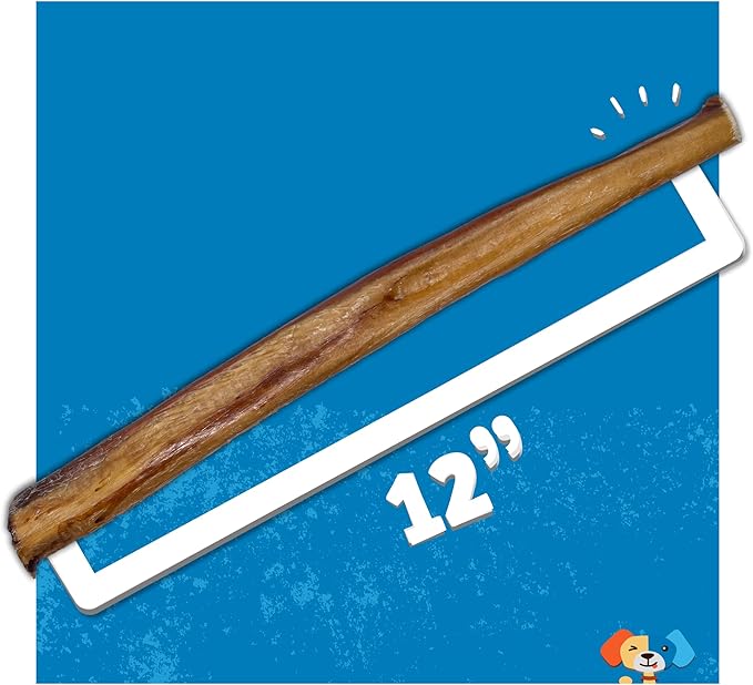 Jack&amp;Pup 12 Inch Bully Sticks for Large Dogs (3 Pack) Jumbo Dog Chews for Aggressive Chewers | All Natural, Odor Free Bully Sticks for Dogs