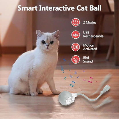 Interactive Cat Toys, Automatic Moving Cat Toy for Bored Indoor Adult Cats, Fast Rolling, Chirping &amp; Motion-Activated Cat Toys, Fun Gift for Cats with Speedy Tail 2.0, USB Rechargeable(Gray)