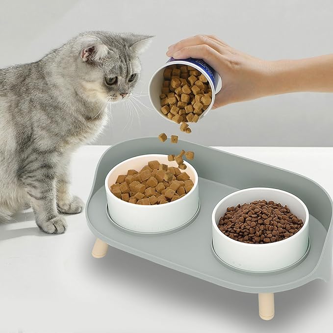 Elevated Dog Bowls Set, Ceramic Pet Food &amp; Water Bowls with Non-Slip Stand, No Spill Design for Cats/Small Medium Dogs Gray