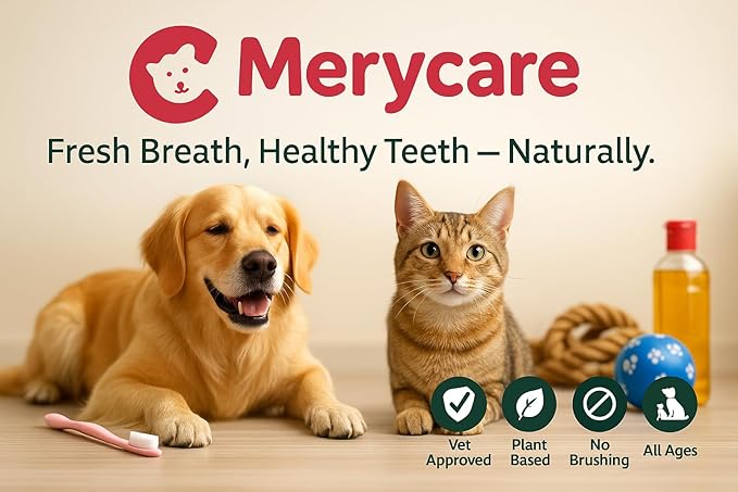 Pure Plaque Off Vet-Approved Dental Powder for Dogs &amp; Cats | 100% Natural Teeth Cleaner with Seaweed | Plaque &amp; Tartar Remover | Freshens Breath | No Brushing Needed (50g)
