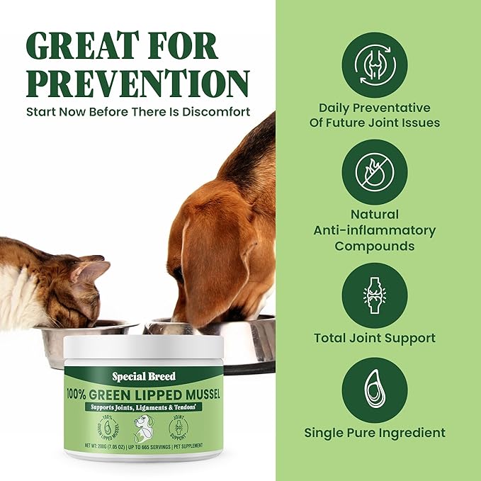 Special Breed Green Lipped Mussel Powder for Dogs &amp; Cats - 100% New Zealand Green Lipped Mussels - Natural Hip &amp; Joint Supplement for Joints, Tendons, Ligaments, Muscles - 200 Grams - 665 Servings