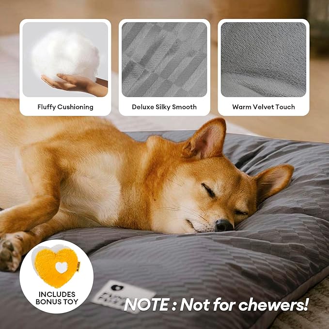 FUNNY FUZZY 35×23 Washable Dog Crate Bed,Orthopedic Cushion Mattress for Large Dogs-Fits 36 Inch Dog Crates, Reversible,Durable &amp; Comfortable Pet Bed,L,Charcoal Grey