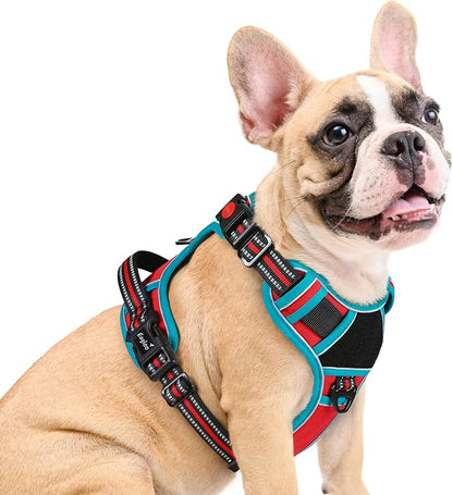 Eagloo Dog Harness Medium Sized, Easy Wearing with 3 Buckles, Adjustable No Pull Pet Harness with 2 Rings for Walking, No Chock Reflective Soft Padded Vest with Control Handle, Red &amp; Teal, M