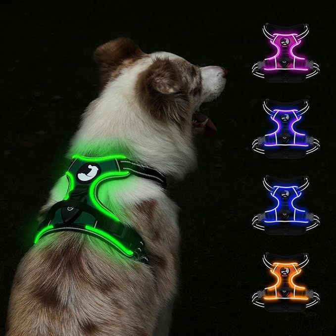 Taglory Light Up Dog Harness, Rechargeable No Pull Dog Vest with 3 Lightning Modes, Reflective Dog Harness with 2 Leash Clips &amp; 4 Adjustable Slide Strips for Large Dogs, Turquoise-Green, L