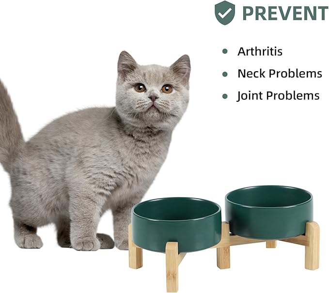 Ceramic Raised Double Bowls Set with Stand, 2 Heights Elevated, Food &amp; Water Bowls for Small Breed Dogs, Cats, Kitty, Weighted Dog Dishes, Pet Bowls(5.1&