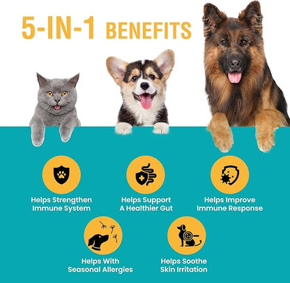 Special Breed Allergy &amp; Immune with Elderberry, Allergy Relief for Cats and Dogs, Anti Itch Treatment, Relief for Pet Allergies, Immune Support for Cat or Dog, 2 oz