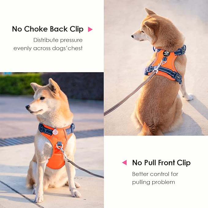 PHOEPET No Pull Dog Harness, Unique Colors Reflective Adjustable Dog Vest, with Soft Training Handle Metal Clips for Small Medium Large Dogs (Orange Base &amp; Blue Straps,S)