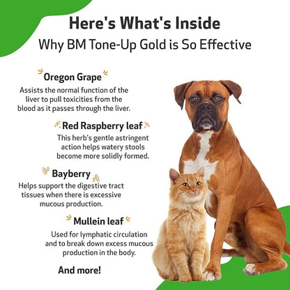 Pet Wellbeing BM Tone-Up Gold for Dogs &amp; Cats - Supports Healthy Digestive Function, Solid Stools, Normal Bowel Movements, Bayberry - Veterinarian-Formulated Herbal Supplement 4 oz (118 ml)