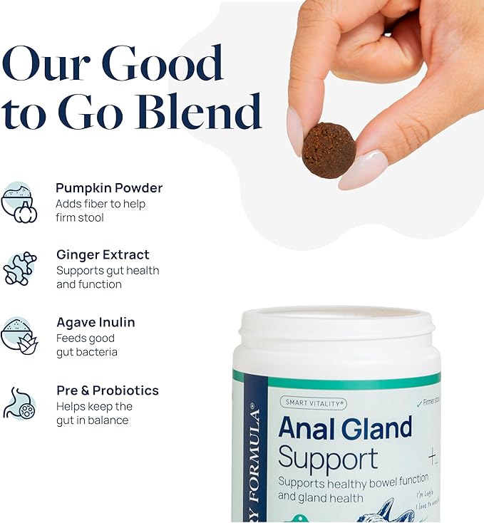 Veterinary Formula Anal Gland Support for Dogs – Vet-Formulated No Scoot Chews with Pumpkin, Ginger, Agave Inulin &amp; Probiotics – Supports Scooting, Stool Quality &amp; Digestive Health, 60 Soft Chews