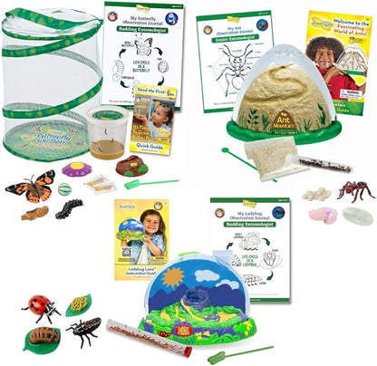 Insect Lore Bug Camp Bundle | Butterfly Kit with 1 Cup Live Caterpillars | Ladybug Land with 1 Tube Live Larvae | Ant Mountain with 1 Tube Live Western Harvester Ants | Life Cycle Figurines &amp; More
