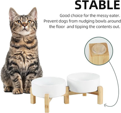 Ceramic Raised Double Bowls Set with Stand, 2 Heights Elevated, Food &amp; Water Bowls for Small Breed Dogs, Cats, Kitty, Weighted Dog Dishes, Pet Bowls(5.1&