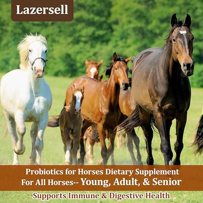 Probiotics for Horses Dietary Supplement, All-Natural Digestive System Maintenance Formula Equine Digestion Support Horse Health Supplements (90 Days)