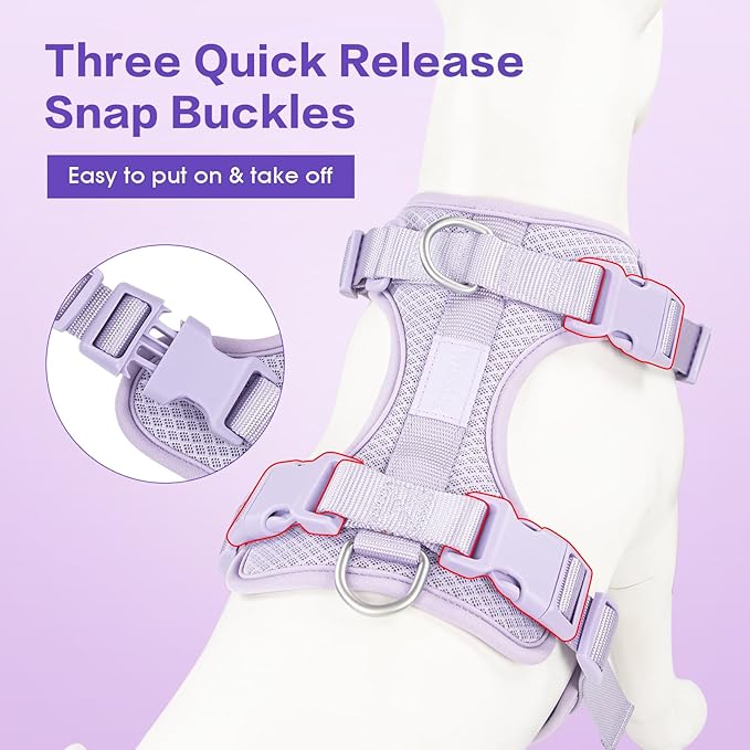 Wisedog Mesh Breathable Dog Harness: No Pull Harness with 3 Fast-Release Buckles Adjustable for Walking &amp; Training for Small Medium Large Dogs (Lilac, M: Neck=17"-22"/Chest=15"-28")