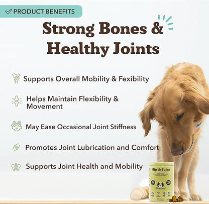 Natural Dog Company Hip &amp; Joint Chews for Dogs with Glucosamine for Dogs + Chondroitin, MSM &amp; Turmeric, Supports Mobility &amp; Reduces Discomfort, Stiffness, Natural Pain Relief Joint Supplement. 180 Ct