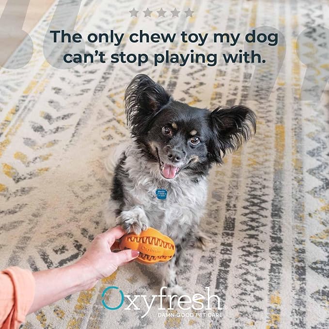Oxyfresh Dog Dental Chew Toy - Best Durable Rubber Dog Toy for Tough Chewers – Helps Remove Plaque, Cleans Teeth &amp; Freshens Breath Without Brushing (Large)
