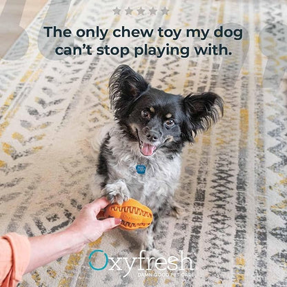 Oxyfresh Dog Dental Chew Toy - Best Durable Rubber Dog Toy &amp; Puppy Teething Toy - Helps Remove Plaque, Cleans Teeth &amp; Freshens Breath Without Brushing (Small)