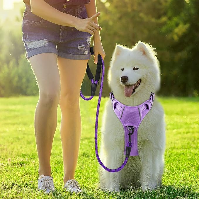 BARKBAY Dog Harness No Pull with ID Tag Pocket - Heavy Duty, Reflective, Easy Control for Large Dogs(Violet Purple,L)