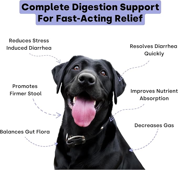 Kayode Ultimate Digestion. Fast Facting Anti Diarrhea for Dogs. Dog Fart Remedy &amp; Dog Gas Relief. Natural Nutrients for Healthier, Firmer Stools. Pumpkin &amp; Digestive Enzymes for Dogs.