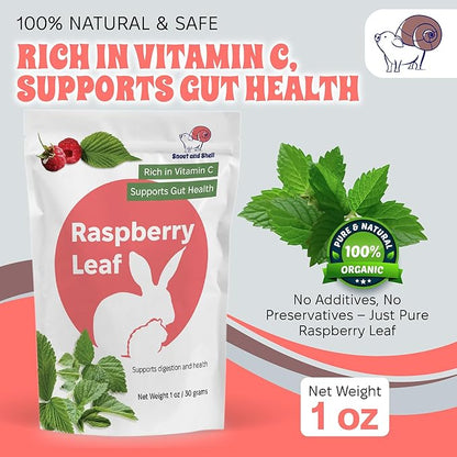 Snout and Shell Raspberry Leaf for Small Pets – 100% Natural Treat for Rabbits, Guinea Pigs, Hamsters &amp; More – Rich in Vitamin C &amp; Supports Gut Health – 1 oz (30g)