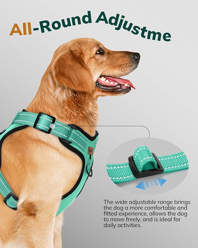 MIDOG No-Pull Dog Harness | Adjustable &amp; Reflective Pet Harness Leash Set for Small Medium Large Dogs Walking, Training| No Choke, Front Clip, Soft Padded Vest with Easy Control Handle - Green, L