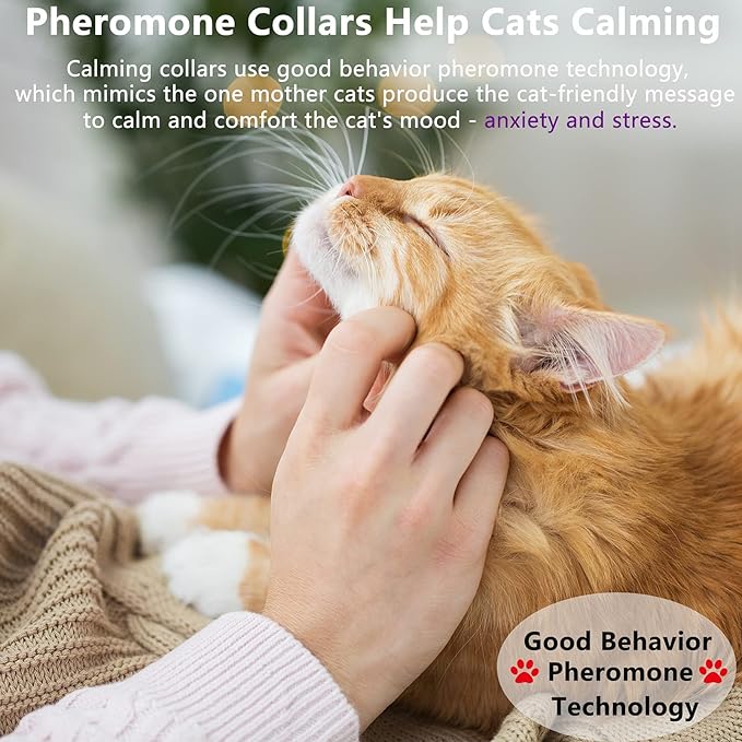 Wustentre 3 Pack Adjustable Anxiety Collar - Cat Calming Pheromones for Cats &amp; Kittens, Stress Reliever - Relaxing Comfortable Collar (Violet)