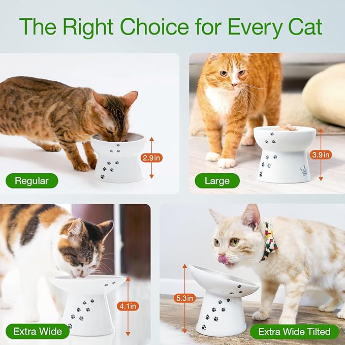 Necoichi Extra Wide Raised Cat Food Bowl, Elevated, Prevent Neck &amp; Whisker Fatigue, Dishwasher and Microwave Safe, No.1 Seller in Japan! (Cat, Extra Wide)