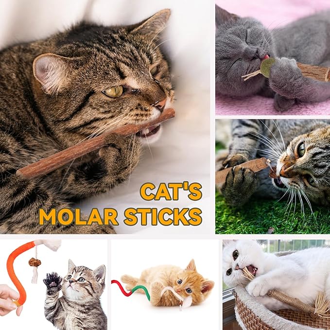 Cat Toys Cat Chew Toys, Silvervine Sticks Catnip Rope Toys for Cats Teeth Cleaning, Kitten Dental Care, Kitty for Indoor Cats Increase Appetite,Enhances Oral &amp; Dental Health (21 Pack)