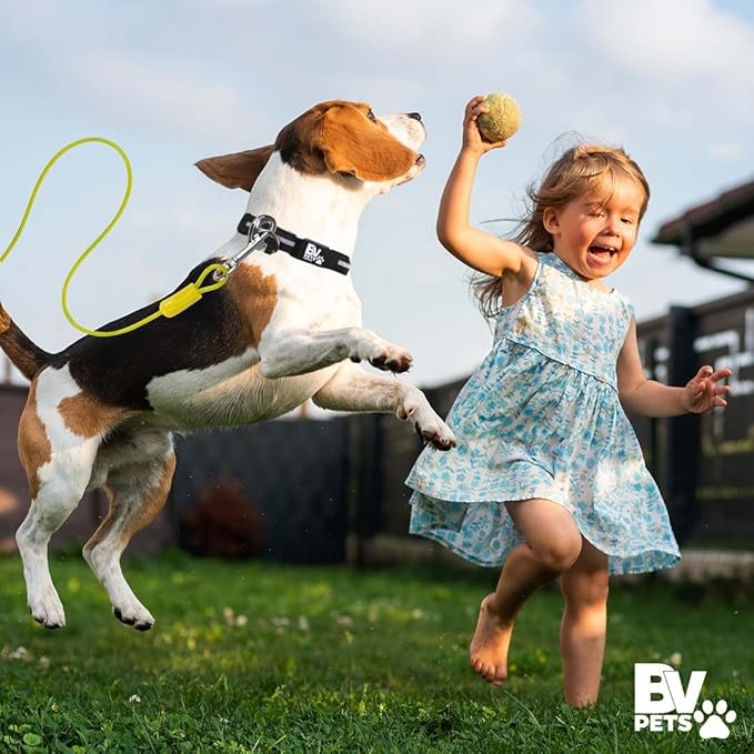 BV Dog Tie Out Cable 25 Feet - Heavy Duty Dog Lead Up to 35 Pounds - Reflective &amp; Rust-Free with Quick Release Swivel Clips &amp; 360° Rotating Clasp - Tangle-Free Dogs Runner for Yard (Yellow, Single)