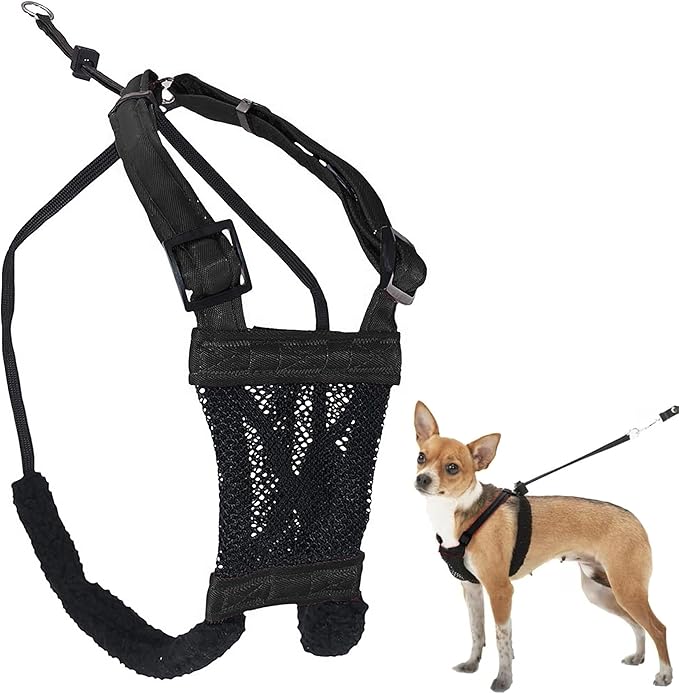 Sporn Extra Small Dog Harness No Pull - Easy &amp; Adjustable for Growing Puppies, Lightweight, Breathable, Durable Nylon, Black Mesh Body, XS Size, Anti-Pull Dog Harness for Puppies &amp; Small-Sized Breeds