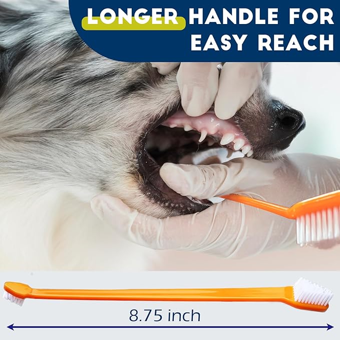 200 Pcs Dog Toothbrush Cat Tooth Brushes Bulk, Double Sided Brushing Kit, Teeth Cleaning Kit Soft Bristles Long Handle, Pet Tooth Brush for Small to Large Dog, Cat, Puppy &amp; Kitten, 10 Colors