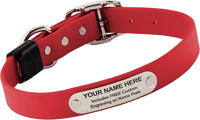 Biothane Custom Dog Collar – Waterproof, Stink-Proof Personalized Collar with Name &amp; Phone Number – Durable, Many Sizes and Colors – Assembled in USA (Cherry Red)