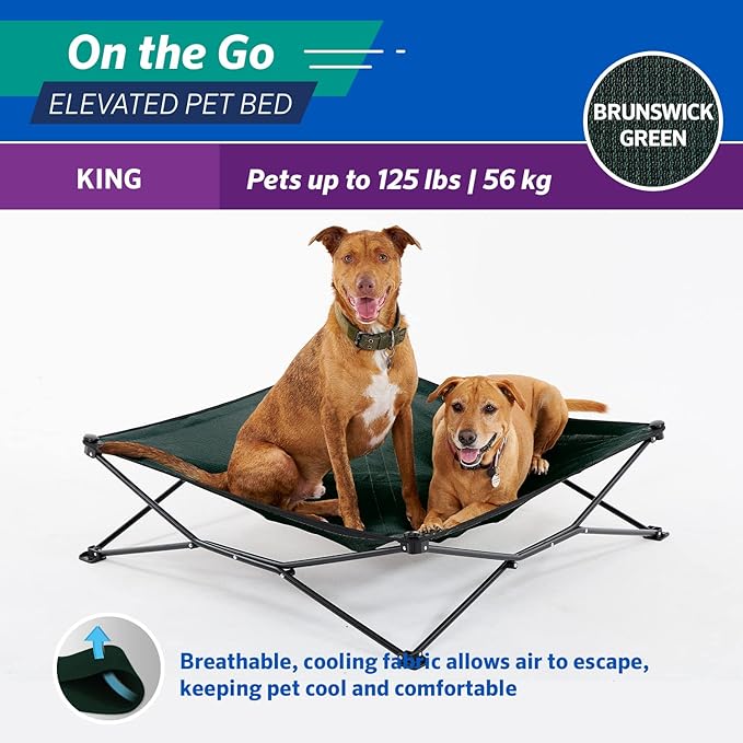 Coolaroo On-The-Go Elevated Dog Bed - Foldable Pop-Up Travel Dog Bed with Breathable, Moisture-Resistant Fabric, Carry Bag Included, Lightweight &amp; Portable, Brunswick Green, Extra Large