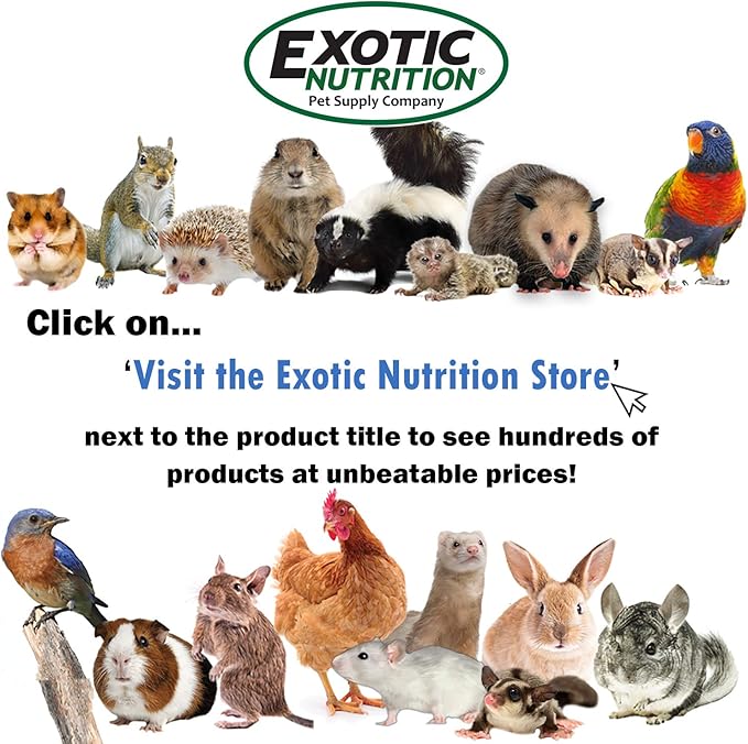Chinchilla Booster (2 oz.) - Complete Multivitamin - Powdered Vitamin &amp; Mineral Supplement for Pet Chinchillas