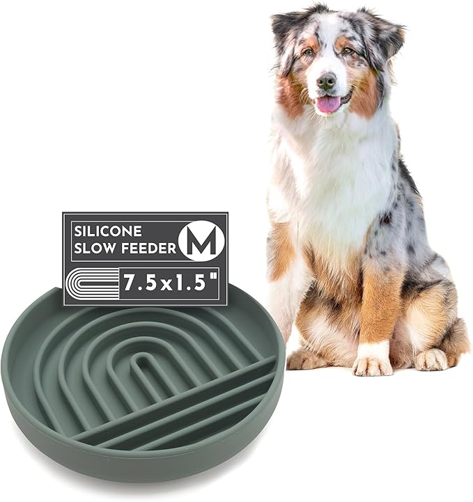 The Slowdown Bowl Silicone Slow Feeder for Dogs &amp; Puppies, Slow Eating, Modern Lick Mat Design, Reduces Gulping, Fits 2 Cups 7.5” Across x 1.5” Tall, Mealtime Challenge, Medium-Spruce