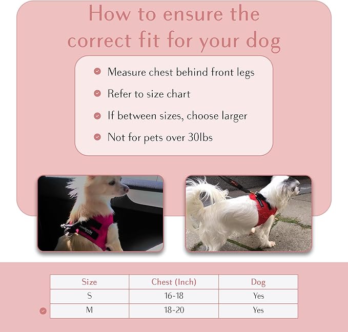 Comfort fit Step-in Dog &amp; Puppy Harness - Comfortable All Weather Dog Vest Harness: Adjustable, Soft Padded, Easy to Put-on for Small, Medium-Sized Dogs.