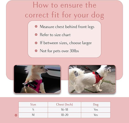 Comfort fit Step-in Dog &amp; Puppy Harness - Comfortable All Weather Dog Vest Harness: Adjustable, Soft Padded, Easy to Put-on for Small, Medium-Sized Dogs.