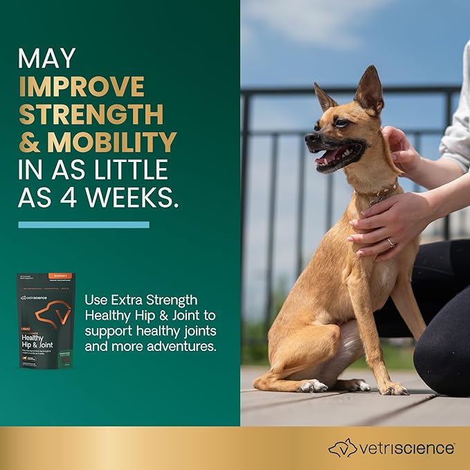 VetriScience Glycoflex 3 Clinically Proven Hip and Joint Support Supplement for Small Dogs - Maximum Strength Dog Supplement with Glucosamine, MSM, Green Lipped Mussel &amp; DMG - 60 Chews,Chicken Flavor