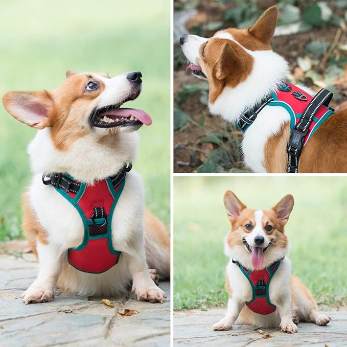 PHOEPET 2019 Reflective Dog Harness Large Breed Adjustable No Pull Vest with with Handle 2 Metal Rings 3 Buckles [Easy to Put on &amp; Take Off](L, Red)