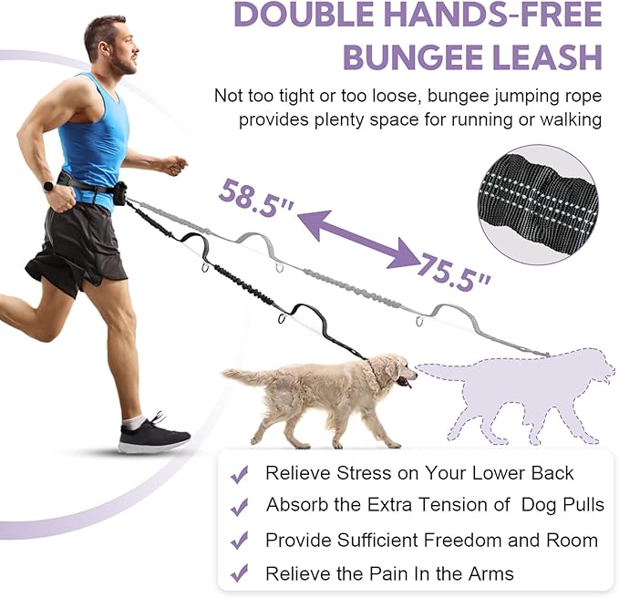 Hands Free Dog Leash, Shcok Abosoring Bungee with Double Padded Handles, Waist Leash for Dog Walking, Dog Leash with Bungee for Medium &amp; Large Dog, Dog Walking Accessories, Black Purple
