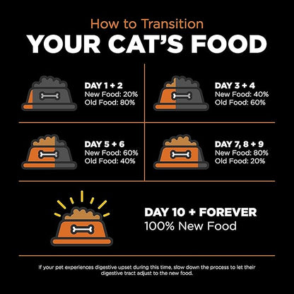 Go! Solutions Skin + Coat Care, Grain-Free Dry Cat Food, Salmon Recipe, 3 lb Bag