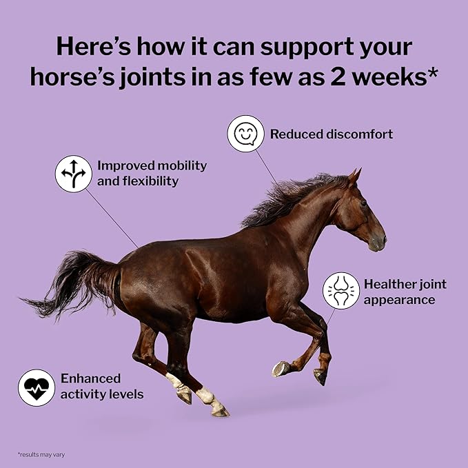 Formula 707 Joint 6in1 Equine Supplement 5 lb Bag - Support for Joint Integrity and Inflammatory Response in Horses - Green-Lipped Mussel, MSM, Glucosamine, Chondroitin &amp; Collagen
