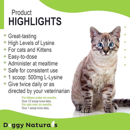 Trulysine L-Lysine for Cats Immune Support Oral Powder 21.2oz/600g - Cats &amp; Kittens of All Age, Sneezing, Runny Nose Squinting, Watery Eyes-Fish &amp; Poultry Flavor (U.S.A)(600 Grams (500mg / Scoop))