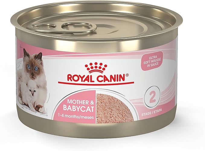 Royal Canin Feline Health Nutrition Mother &amp; Babycat Ultra Soft Mousse in Sauce Canned Cat Food, 5.1 oz., Case of 24, 24 X 5.1 OZ