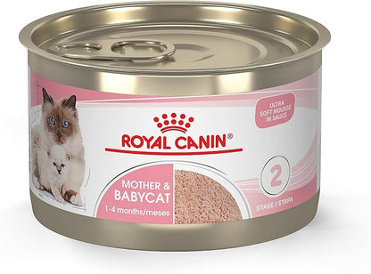 Royal Canin Feline Health Nutrition Mother &amp; Babycat Ultra Soft Mousse in Sauce Canned Cat Food, 5.1 oz., Case of 24, 24 X 5.1 OZ