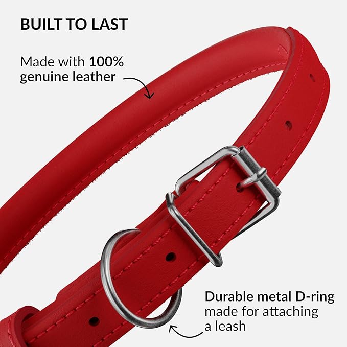 CollarDirect Rolled Leather Dog Collar, Soft Padded Round Puppy Collar, Handmade Genuine Leather Collar Dog Small Large Cat Collars 13 Colors (13-16 Inch, Red Smooth)
