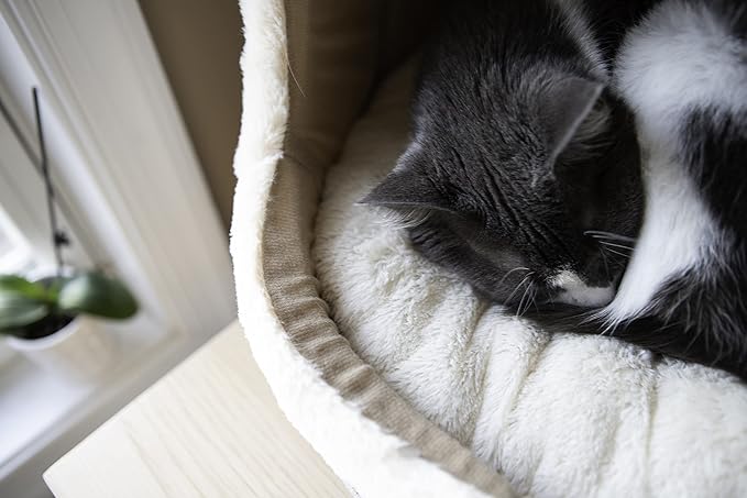 Best Pet Supplies Cozy Cat Cave by - Gray, 17 x 15 x 14